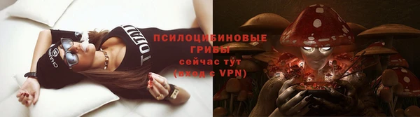 сатива Переславль-Залесский