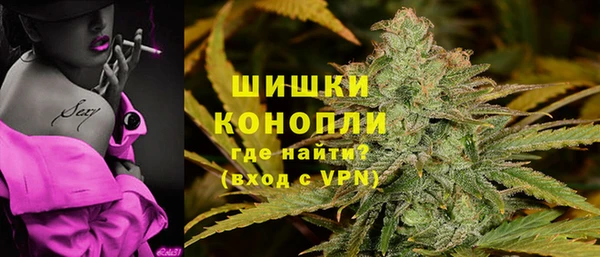 сатива Переславль-Залесский