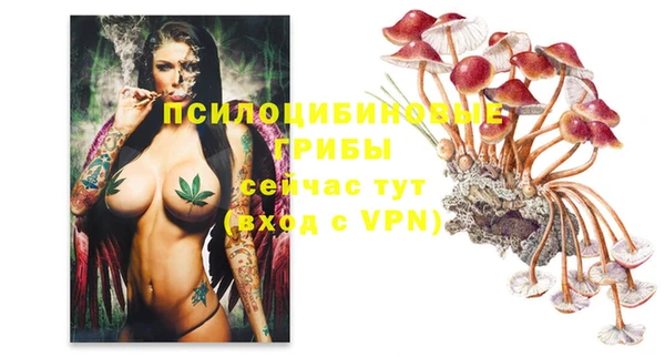 mdpv Пестово