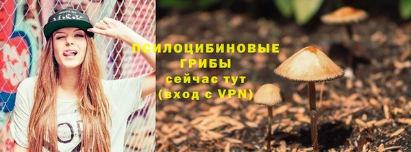 сатива Переславль-Залесский