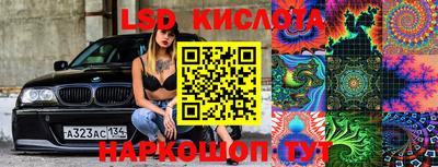 прущие грибы Заводоуковск