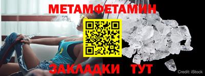 прущие грибы Заводоуковск