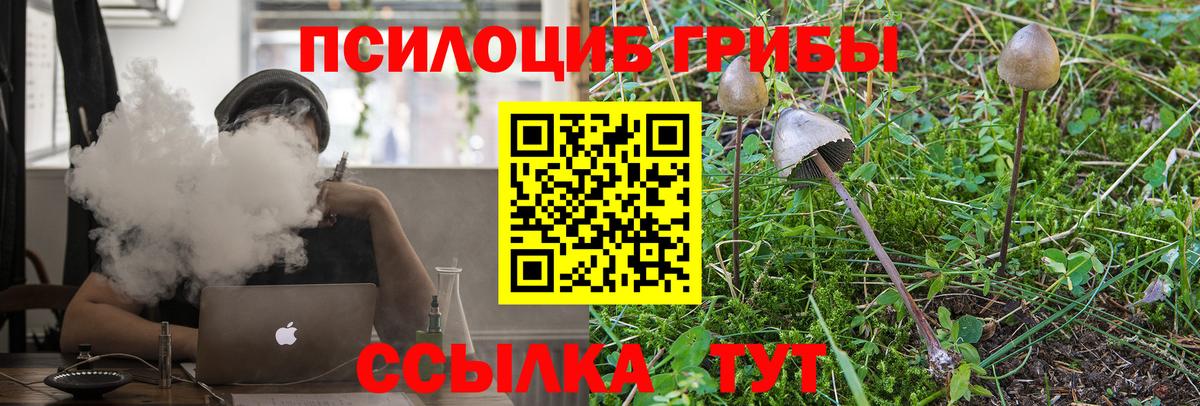 Галлюциногенные грибы GOLDEN TEACHER Кропоткин