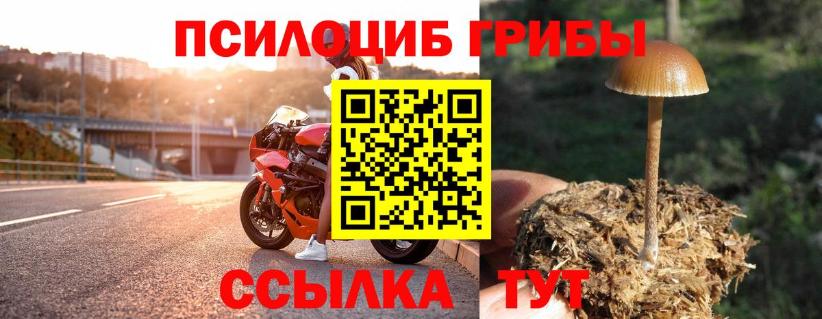 Псилоцибиновые грибы Magic Shrooms Кропоткин