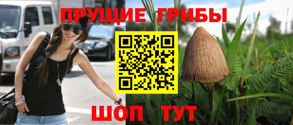 Псилоцибиновые грибы ЛСД  Кропоткин 